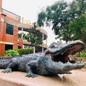 Meet your Posher, Leah n